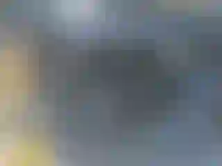 Vehicle Image- 2019 Ford Escape