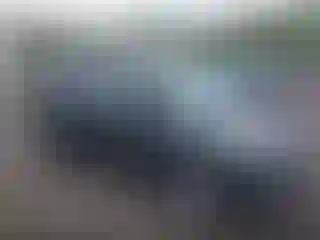 Vehicle Image- 2017 Ford Escape