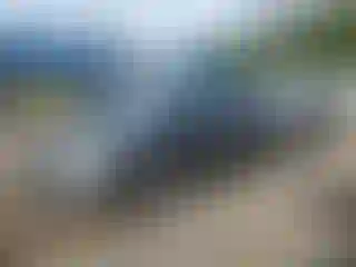 Vehicle Image- 2017 Ford Escape