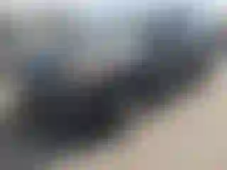 Vehicle Image- 2017 Ford Escape