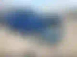 Vehicle Image- 2019 Ford Escape