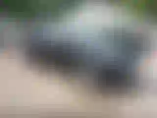 Vehicle Image- 2017 Ford Escape