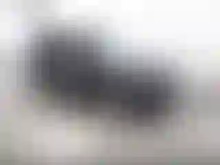 Vehicle Image- 2018 Ford Escape