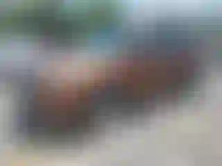 Vehicle Image- 2017 Ford Escape