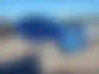 Vehicle Image- 2019 Ford Escape