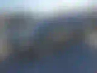 Vehicle Image- 2019 Ford Escape