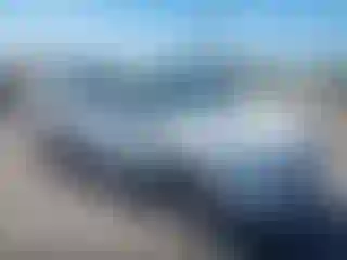 Vehicle Image- 2019 Ford Escape