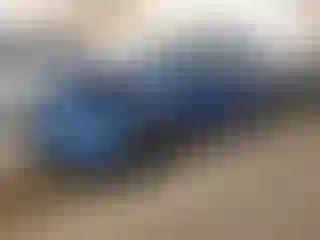 Vehicle Image- 2019 Ford Escape