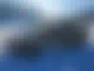 Vehicle Image- 2017 Ford Escape
