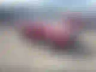 Vehicle Image- 2017 Ford Escape