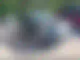 Vehicle Image- 2017 Ford Escape