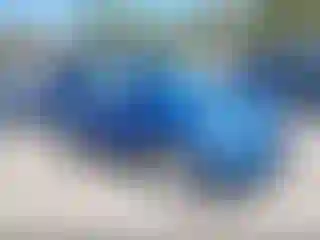 Vehicle Image- 2018 Ford Escape