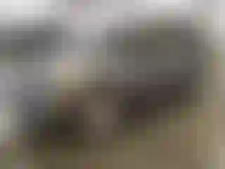 Vehicle Image- 2018 Ford Escape