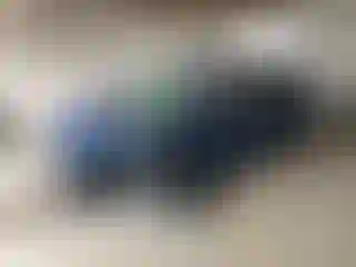 Vehicle Image- 2019 Ford Escape
