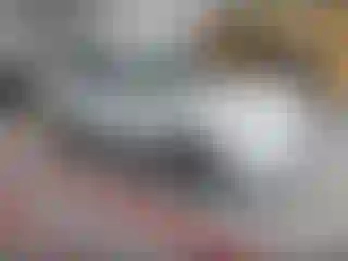 Vehicle Image- 2019 Ford Escape