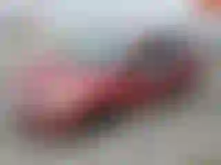 Vehicle Image- 2017 Ford Escape