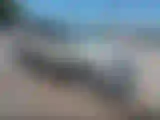 Vehicle Image- 2017 Ford Escape