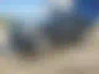 Vehicle Image- 2017 Ford Escape