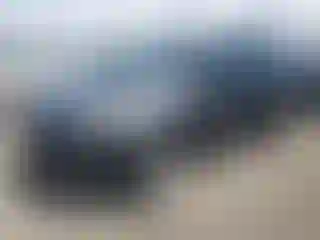 Vehicle Image- 2017 Ford Escape
