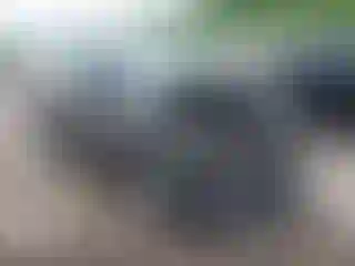 Vehicle Image- 2017 Ford Escape