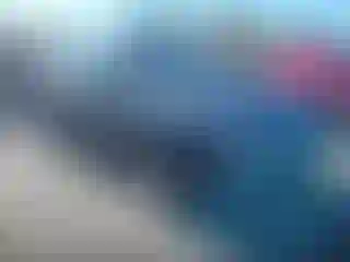 Vehicle Image- 2017 Ford Escape