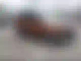 Vehicle Image- 2017 Ford Escape