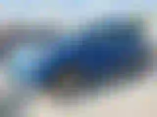 Vehicle Image- 2018 Ford Escape