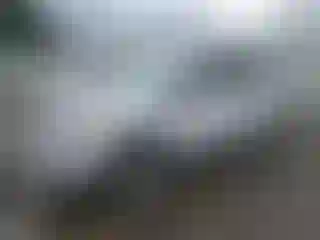 Vehicle Image- 2019 Ford Escape