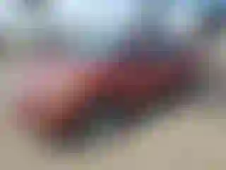 Vehicle Image- 2019 Ford Escape