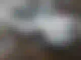 Vehicle Image- 2019 Ford Escape