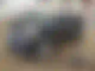 Vehicle Image- 2017 Ford Escape