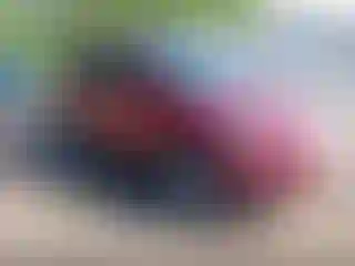 Vehicle Image- 2018 Ford Escape
