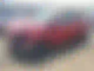 Vehicle Image- 2019 Ford Escape