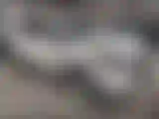 Vehicle Image- 2019 Ford Escape