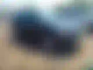 Vehicle Image- 2017 Ford Escape
