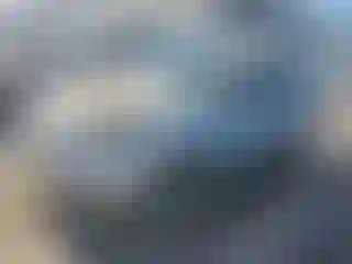 Vehicle Image- 2017 Ford Escape