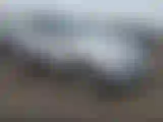 Vehicle Image- 2018 Ford Escape