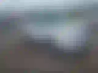 Vehicle Image- 2019 Ford Escape