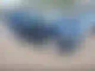 Vehicle Image- 2019 Ford Escape