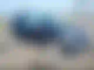 Vehicle Image- 2019 Ford Escape