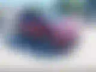 Vehicle Image- 2017 Ford Escape