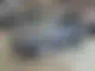 Vehicle Image- 2018 Ford Escape