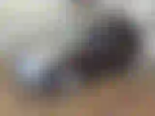 Vehicle Image- 2018 Ford Escape
