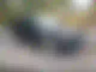 Vehicle Image- 2024 Ford Escape