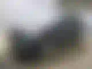 Vehicle Image- 2013 Ford Escape
