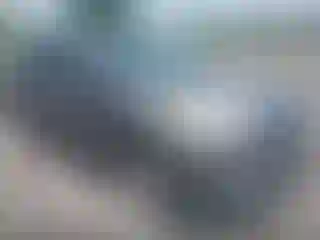 Vehicle Image- 2013 Ford Escape