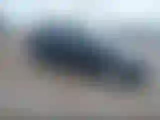 Vehicle Image- 2013 Ford Escape