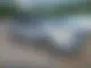 Vehicle Image- 2014 Ford Escape