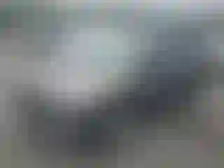 Vehicle Image- 2014 Ford Escape