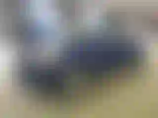 Vehicle Image- 2016 Ford Escape